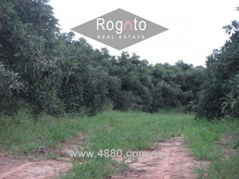 Mareeba QLD 4880