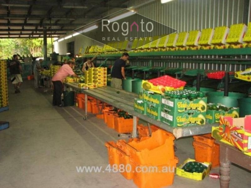 Mareeba QLD 4880