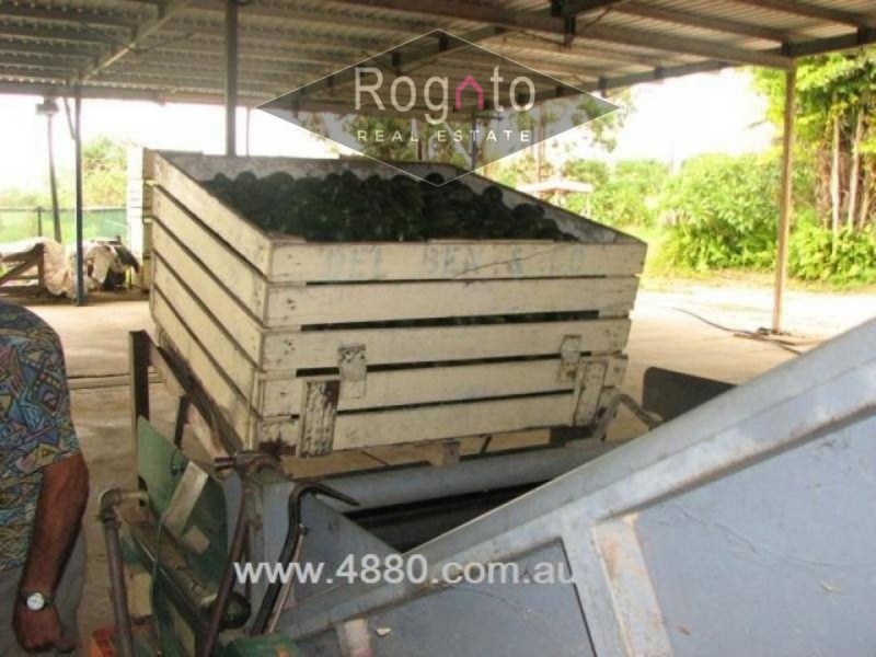 Mareeba QLD 4880