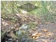 Mareeba QLD 4880