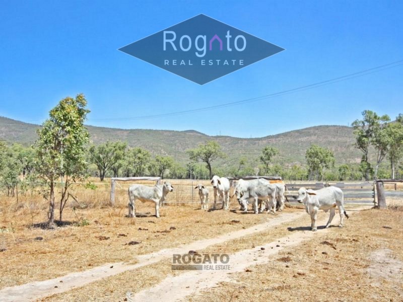 Mareeba QLD 4880