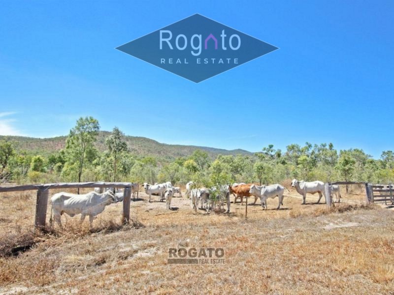 Mareeba QLD 4880