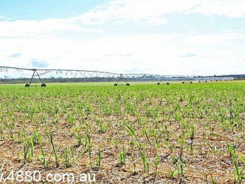 Mareeba QLD 4880