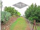Mareeba QLD 4880