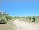 Mareeba QLD 4880