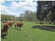 Walkamin QLD 4872