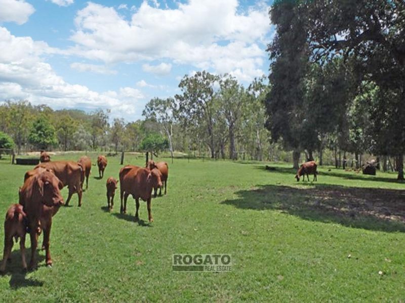 Walkamin QLD 4872