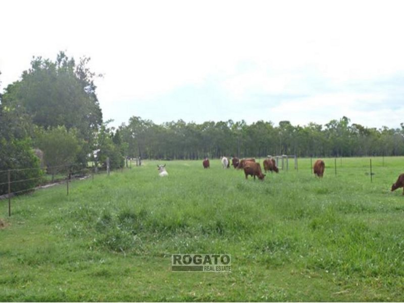 Walkamin QLD 4872