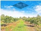 Mareeba QLD 4880
