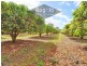 Mareeba QLD 4880