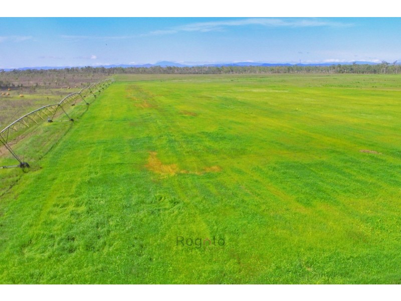 Mareeba QLD 4880