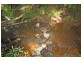 442 Speewah Road, Speewah QLD 4881