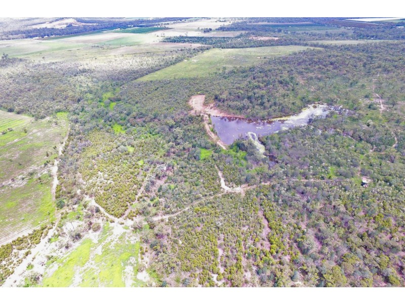 Mutchilba QLD 4872