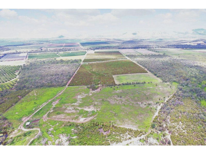 Mutchilba QLD 4872