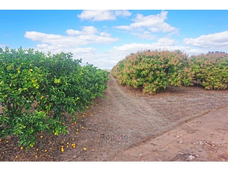 Dimbulah QLD 4872