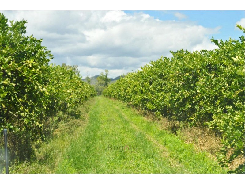 Dimbulah QLD 4872