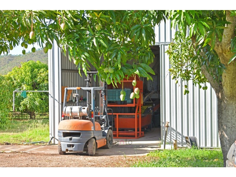 Dimbulah QLD 4872