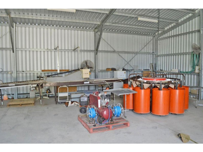 Dimbulah QLD 4872