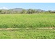 Dimbulah QLD 4872