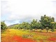 Mareeba QLD 4880