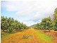 Mareeba QLD 4880