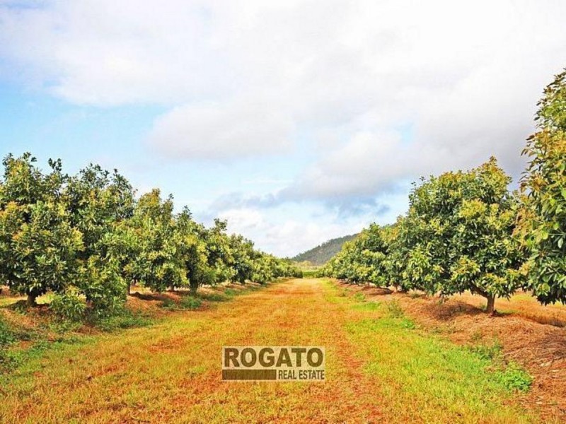 Mareeba QLD 4880