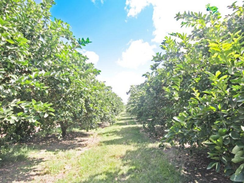 Dimbulah QLD 4872