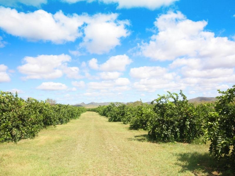 Dimbulah QLD 4872