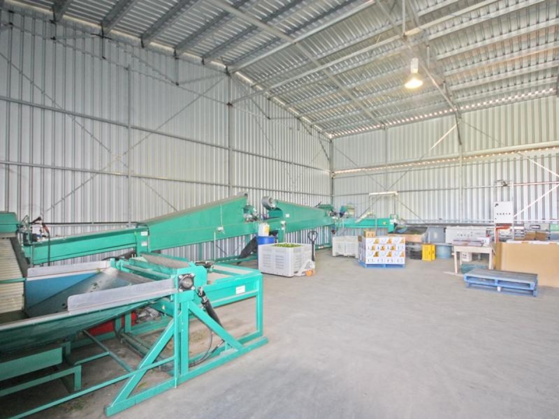 Dimbulah QLD 4872
