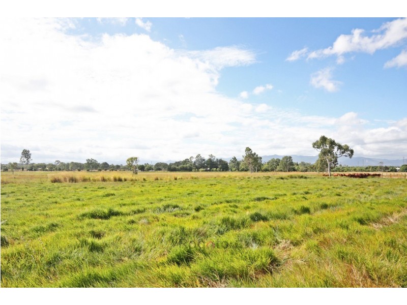 Mareeba QLD 4880