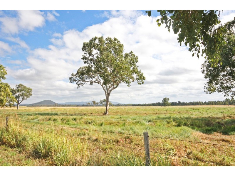 Mareeba QLD 4880