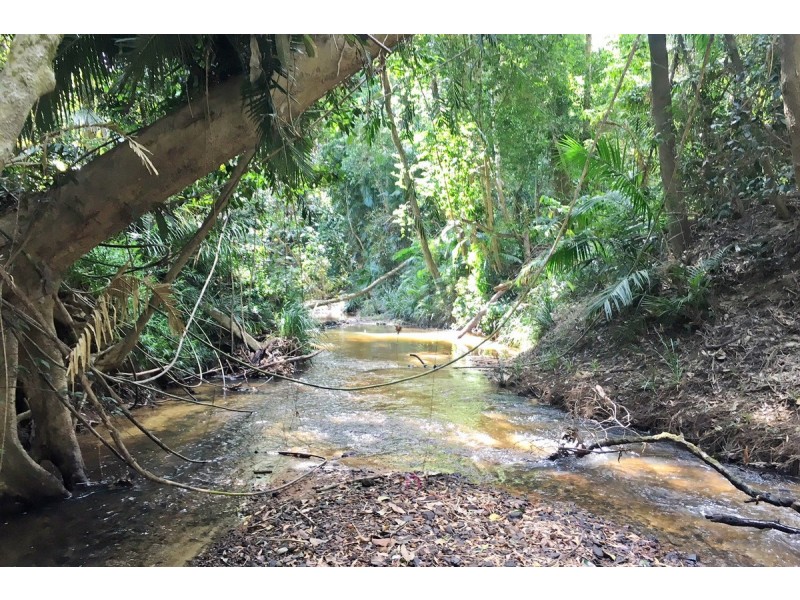 1529 Black Mountain Road, Kuranda QLD 4881