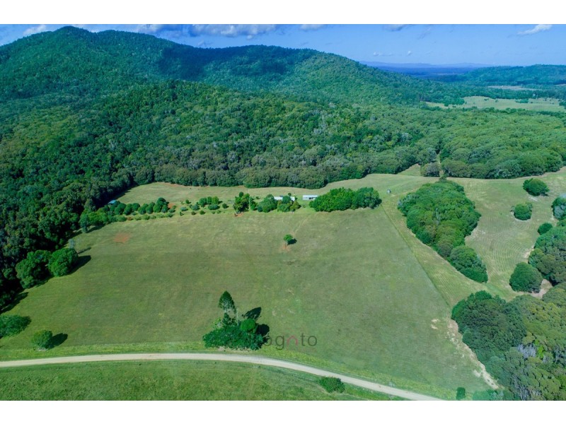 1529 Black Mountain Road, Kuranda QLD 4881