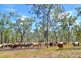 Dimbulah QLD 4872