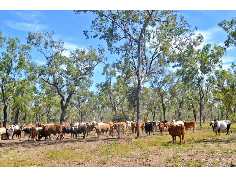Dimbulah QLD 4872
