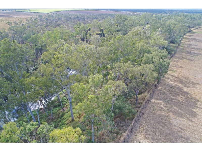 Mutchilba QLD 4872