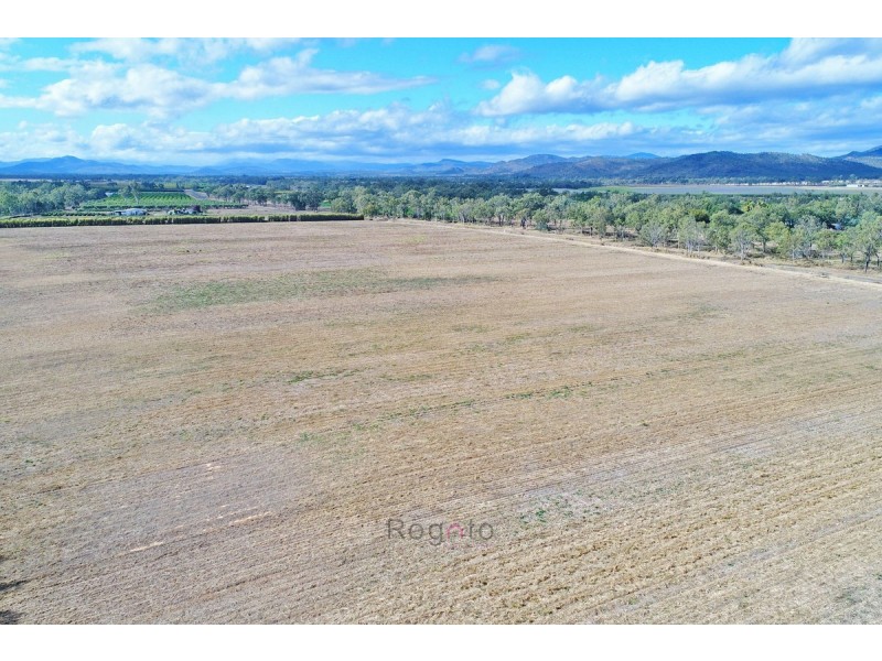 Mutchilba QLD 4872