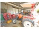 Mareeba QLD 4880