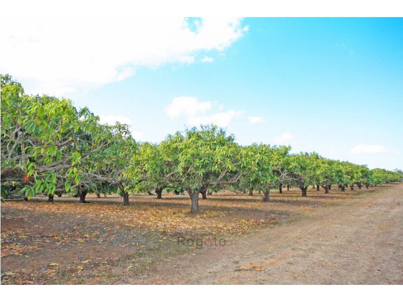 Mareeba QLD 4880