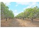 Mareeba QLD 4880