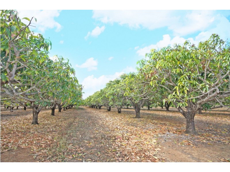 Mareeba QLD 4880