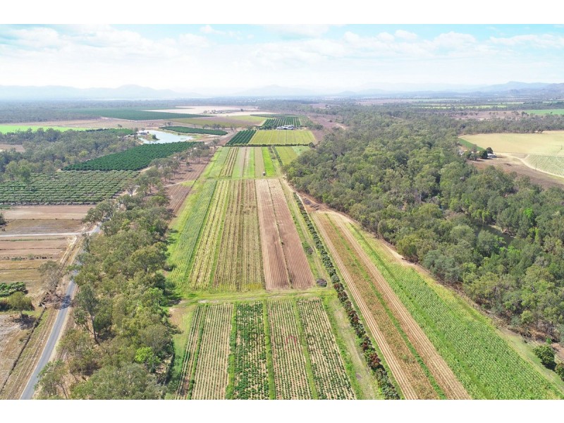 173 Delacy Road, Dimbulah QLD 4872