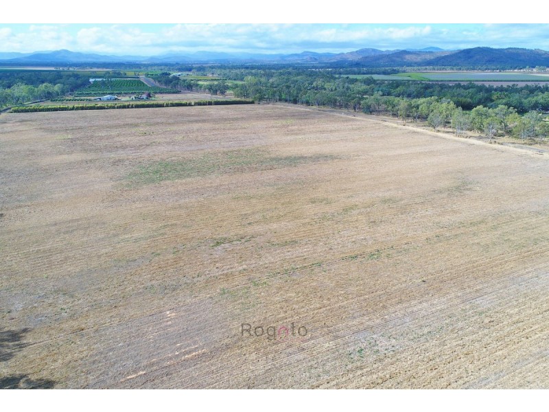 173 Delacy Road, Dimbulah QLD 4872