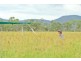 Mutchilba QLD 4872