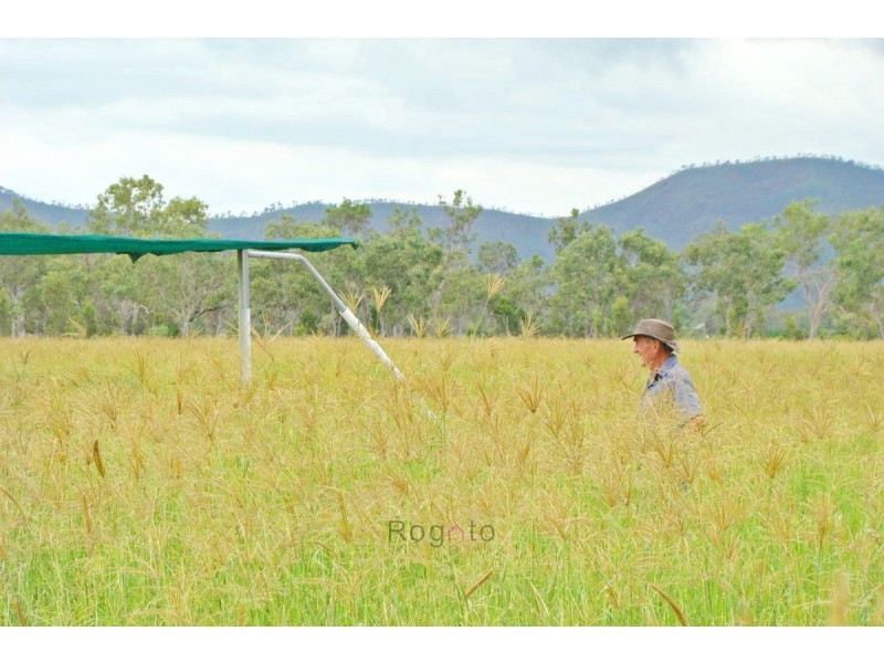 Mutchilba QLD 4872
