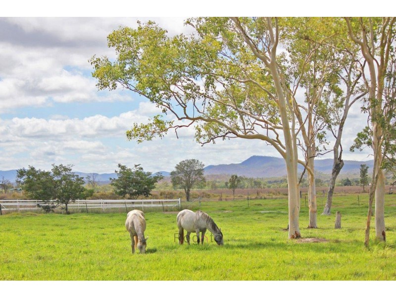 Mutchilba QLD 4872
