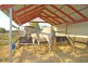 Mutchilba QLD 4872