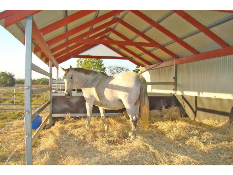 Mutchilba QLD 4872