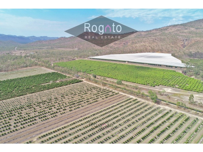 Mutchilba QLD 4872
