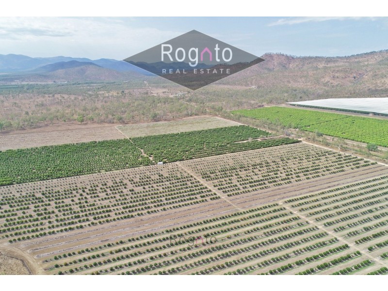 Mutchilba QLD 4872